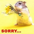 Sorry Krabbels voor Hyves en Facebook