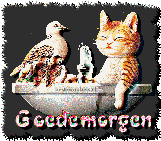 Krabbel - Goedemorgen: 4