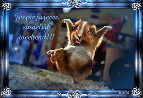 Weekend Krabbel Weekend Krabbel : 5