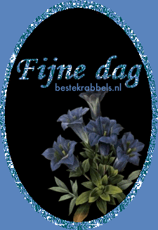 Krabbel - Fijne dag: 6