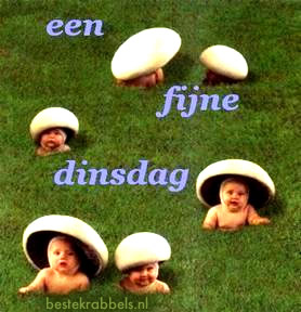 Krabbel - Dinsdag: 3