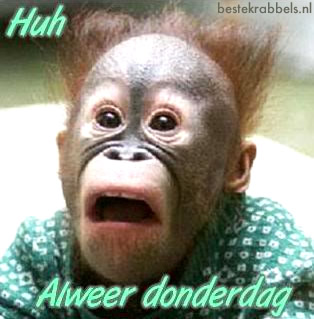 Donderdag Krabbel Donderdag Krabbel : 1