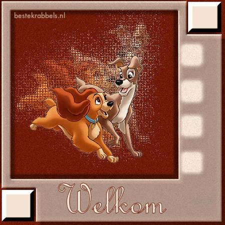 Krabbel - Welkom: 7