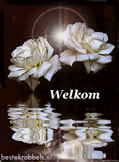 Krabbel - Welkom: 2