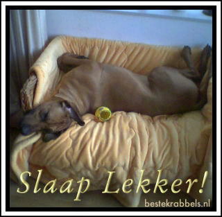Krabbel - Slaap lekker: 2