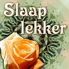 Slaap lekker Slaap lekker