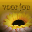 Voor jou Voor jou