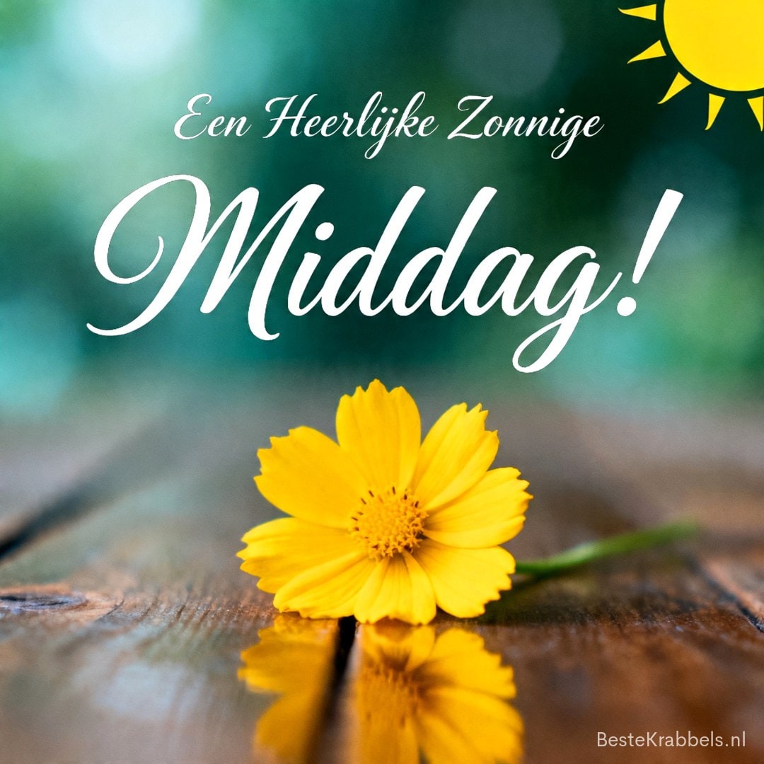 Gele bloem op houten tafel met weerspiegeling, met een zonnetje in de hoek