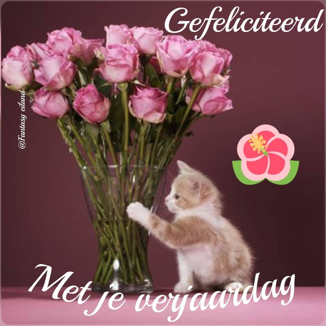 Een kitten speelt met een boeket roze rozen. Tekst: 'Gefeliciteerd met je verjaardag