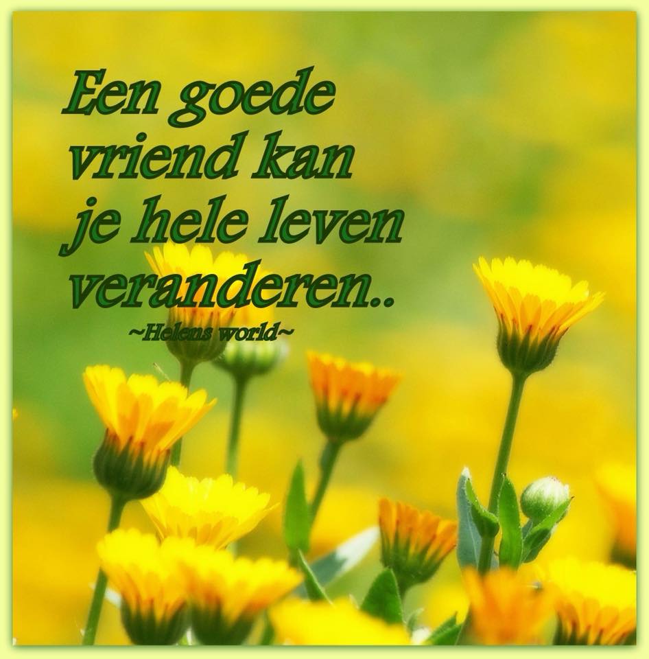Gele bloemen met groene tekstquote over vriendschap op een zachte, wazige achtergrond