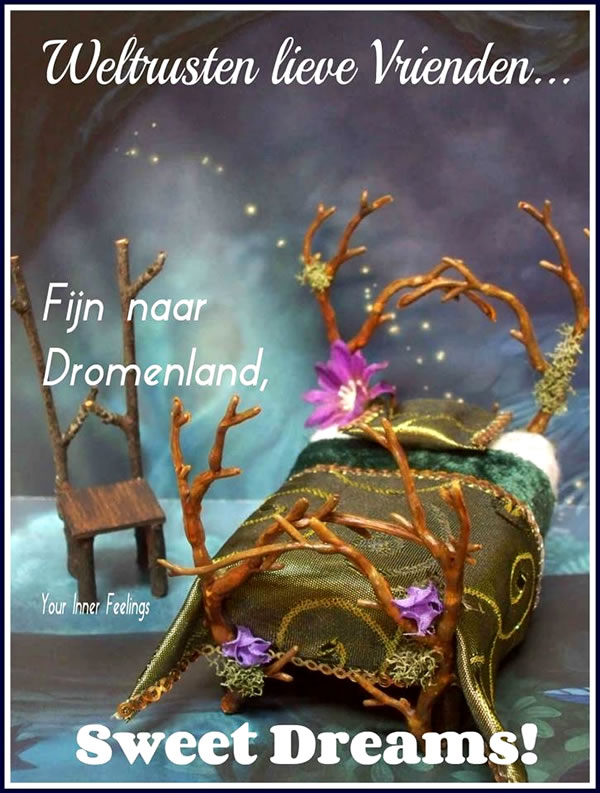 Een bed met takken als hout en paarse bloemen, met de tekst: Weltrusten lieve vrienden, fijn naar dromenland