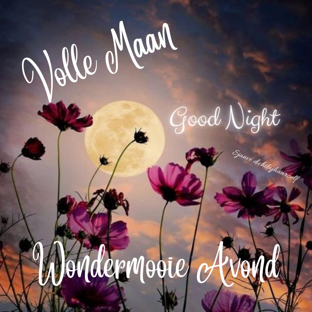 Volle Maan Good Night Wondermooie Avond