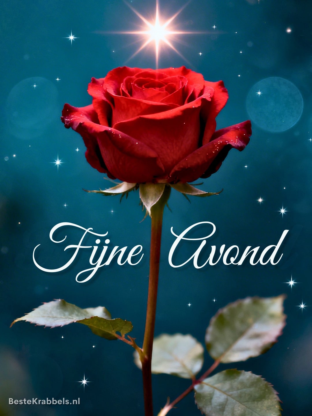 Fijne avond plaatje