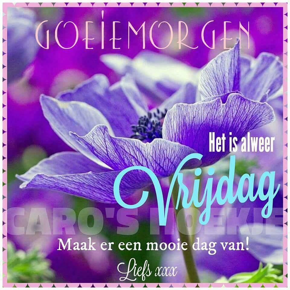 Goeiemorgen. Het is alweer Vrijdag. Maak er een mooie dag van! Liefs xxx