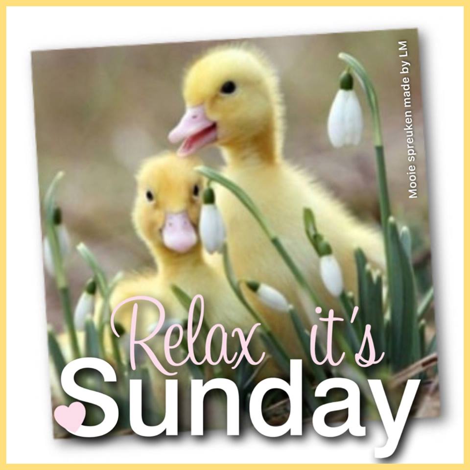 Relax it's sunday
