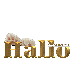 Hallo plaatje 6