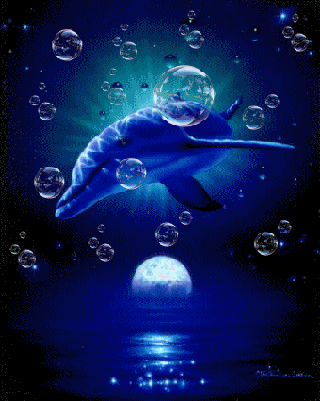 Resultado de imagen para gif de delfin