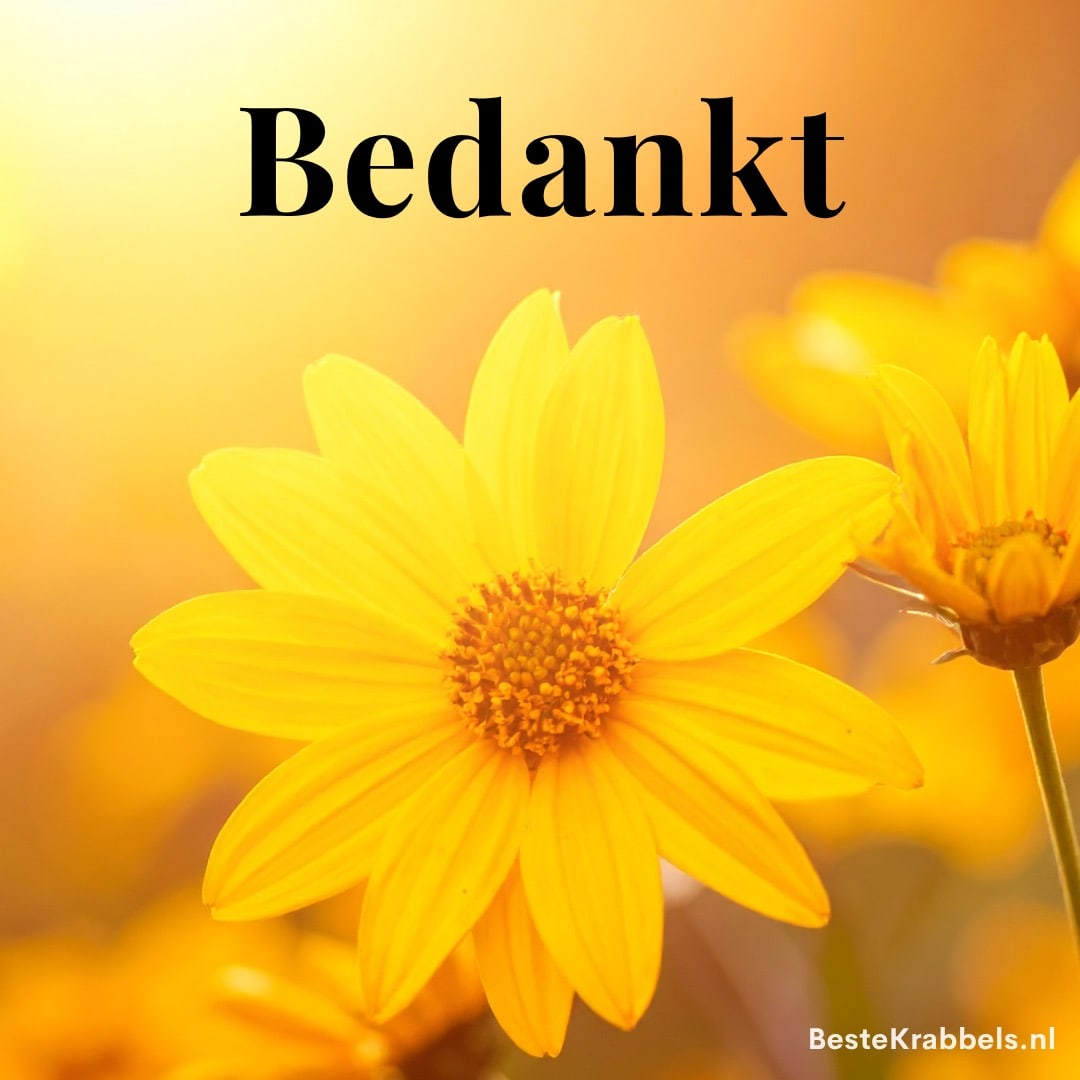 Bedankjes plaatje
