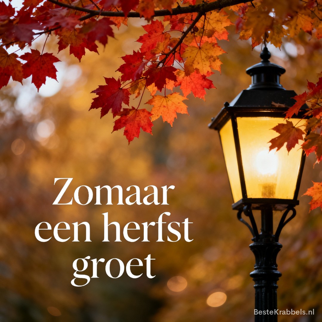 Herfst plaatje