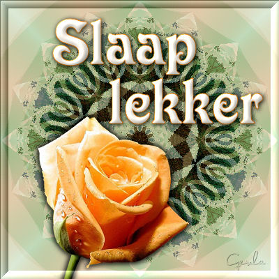 Een oranje roos met druppels en de tekst 'Slaap lekker' op een groene abstracte achtergrond