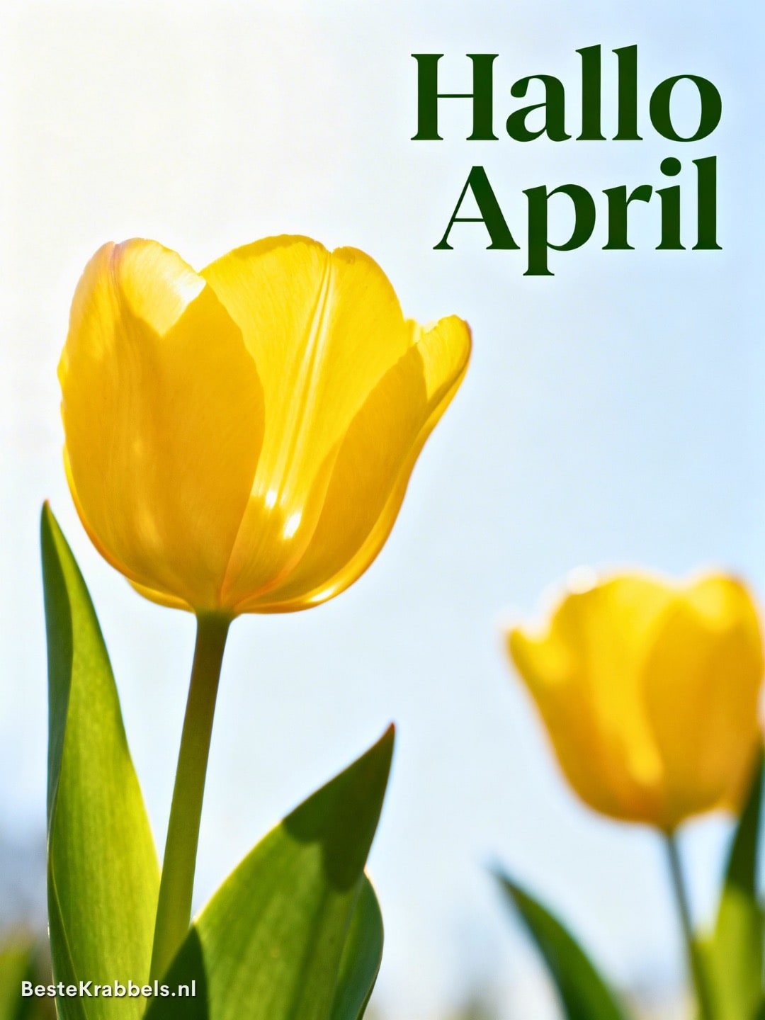 April plaatje