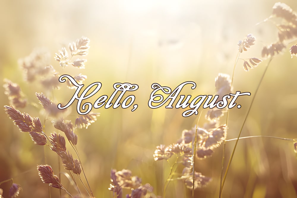 Hello, August