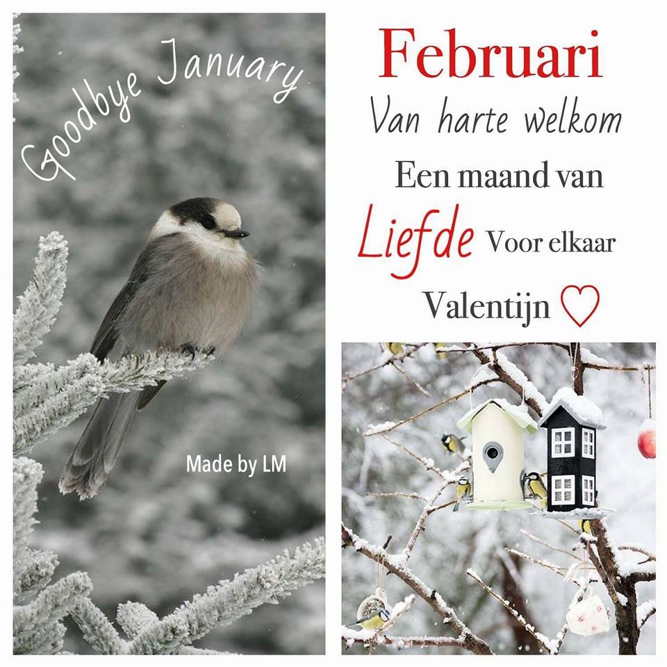 Goodbye January Februari Van harte welkom Een maand van liefde voor elkaar...