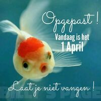 Opgepast! Vandaag...