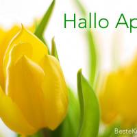 Hallo April