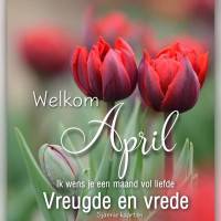 Welkom April. Ik...