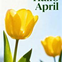 Gele tulp tegen een blauwe lucht met de tekst “Hallo April”