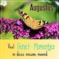 Augustus. Veel...