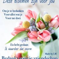 Deze bloemen zijn...