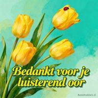 Gele tulpen met dauwdruppels en een lieveheersbeestje, met tekst als bedankje