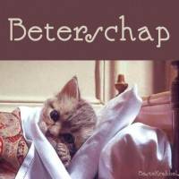 Beterschap