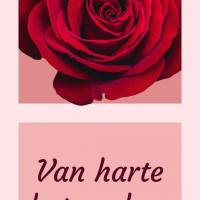 Van harte beterschap