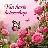 Roze rozen in bloei met een vlinder en de tekst 'Van harte beterschap'