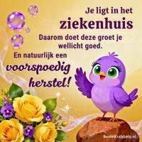 Wenskaart met paarse vogel, gele rozen en tekst over beterschap in het ziekenhuis