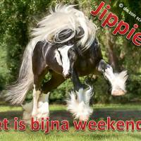 Jipiie!!! Het is...