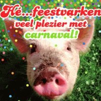 Hé... feestvarken...