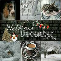 Welkom December