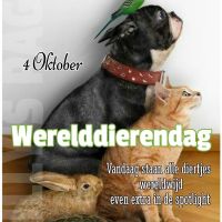 4 Oktober...