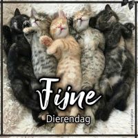 Fijne Dierendag.