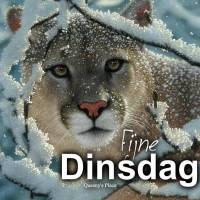 Fijne Dinsdag