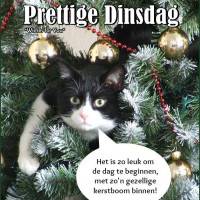 Prettige Dinsdag Het...