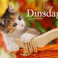 Fijne dinsdag