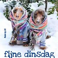 Fijne dinsdag