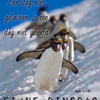 Een dag niet...