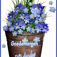 Goedemorgen, Fijn...