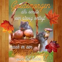 Goedemorgen als...